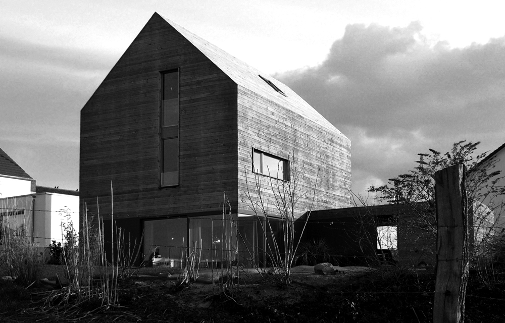 1000x640 Dassen3.jpg